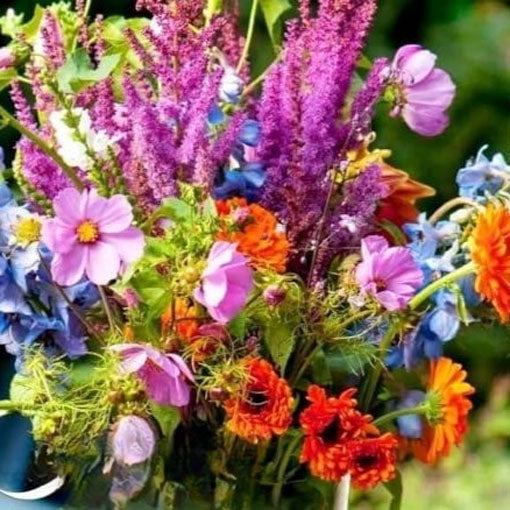 Annual Cut Flowers 'Summer Bouquets' mix - 1 gram of seeds (Snapdragon Zinnia Larkspur Aster Marigold)