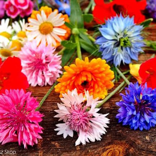 Edible Flowers Mix - 0.6g seeds