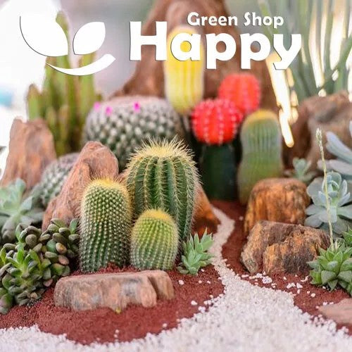 Mixed Cacti seeds - 0.30 grams