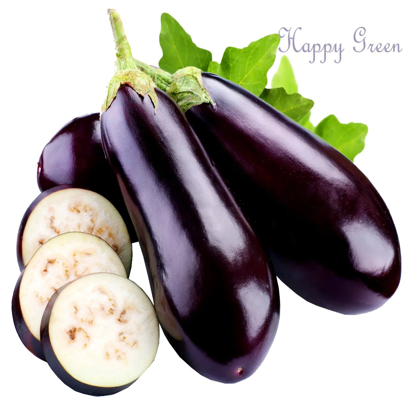 Aubergine 'Black beauty' - 300 seeds (Solanum melongena)