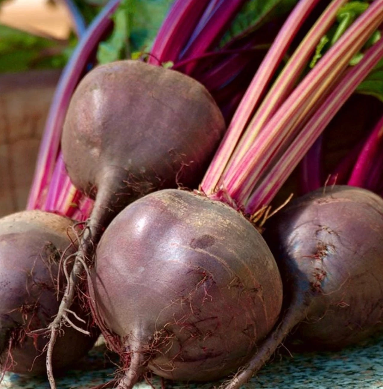 Beetroot 'Detroit 2 Crimson globe' - 650 seeds (Beta vulgaris)