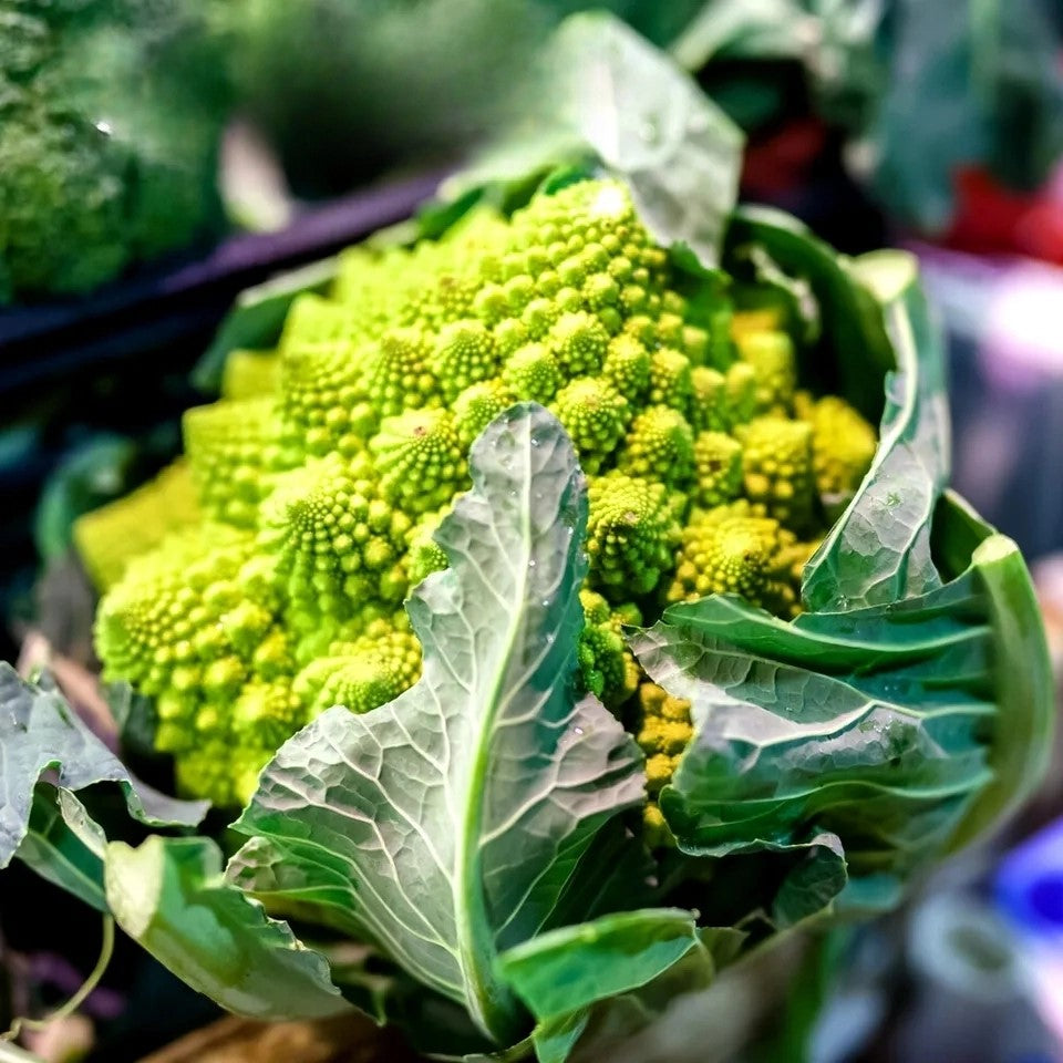 Cauliflower 'Romanesco Natalino' - 500 seeds (Brassica Oleracea)