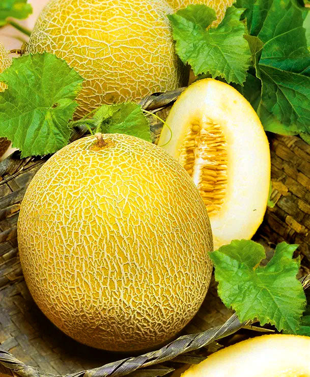Sweet Melon 'Ananas' - 50 seeds (Cucumis melo)