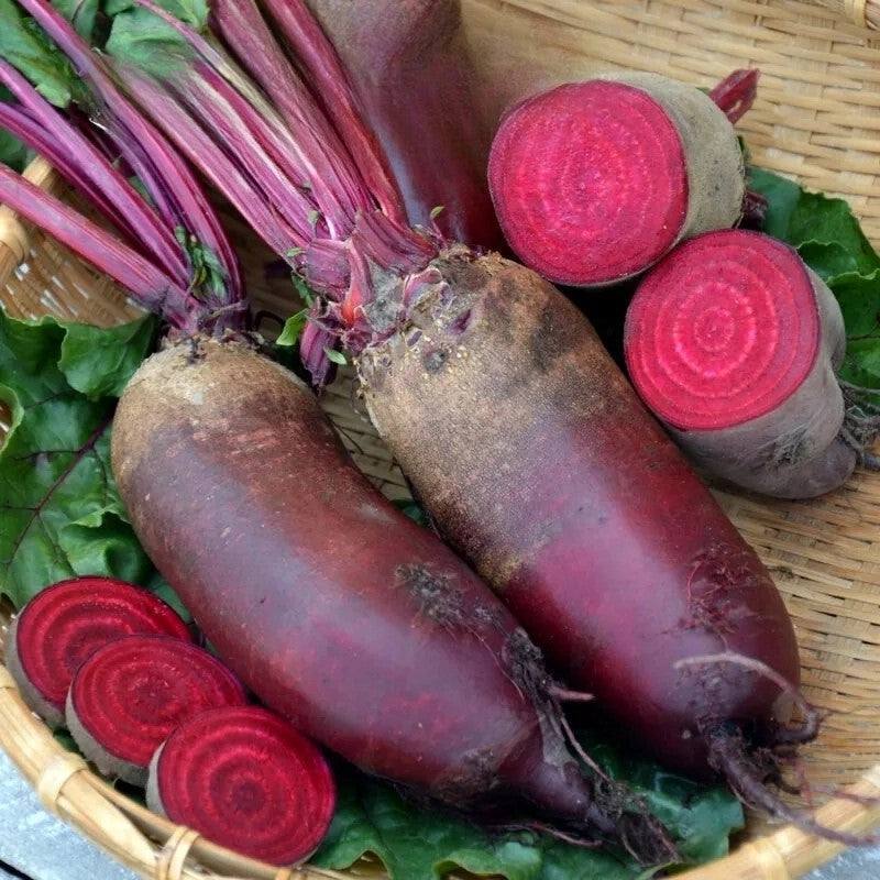 Beetroot 'Monorubra' - 400 seeds (Beta vulgaris)