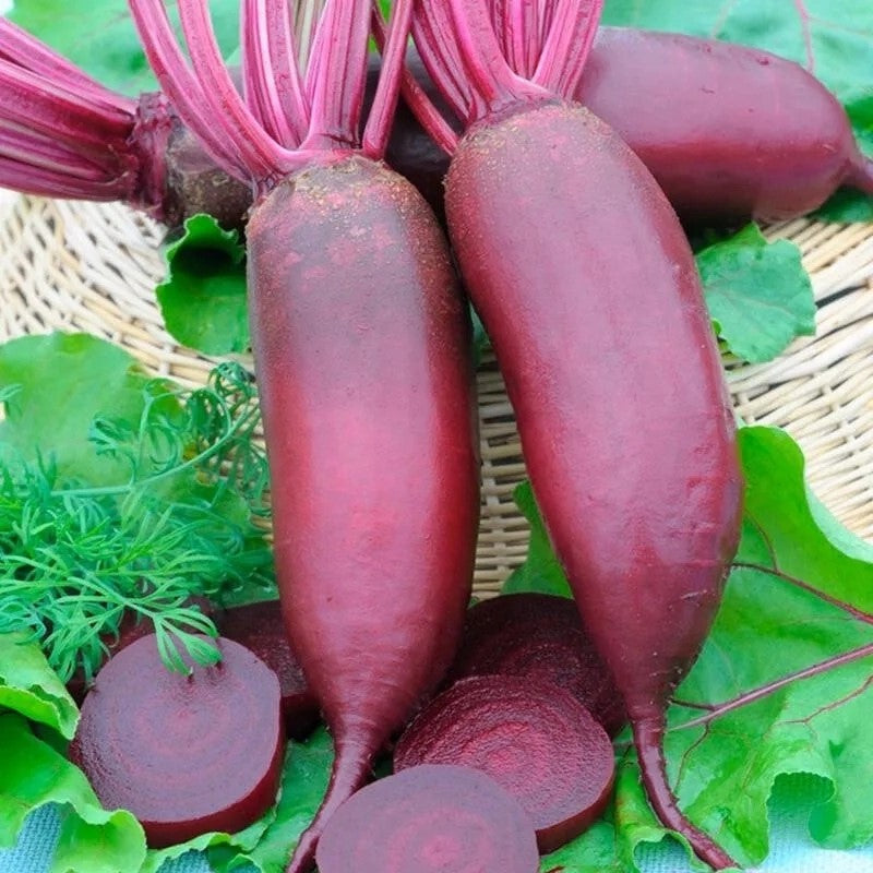 Beetroot 'Alexis' - 300 seeds (Beta vulgaris)