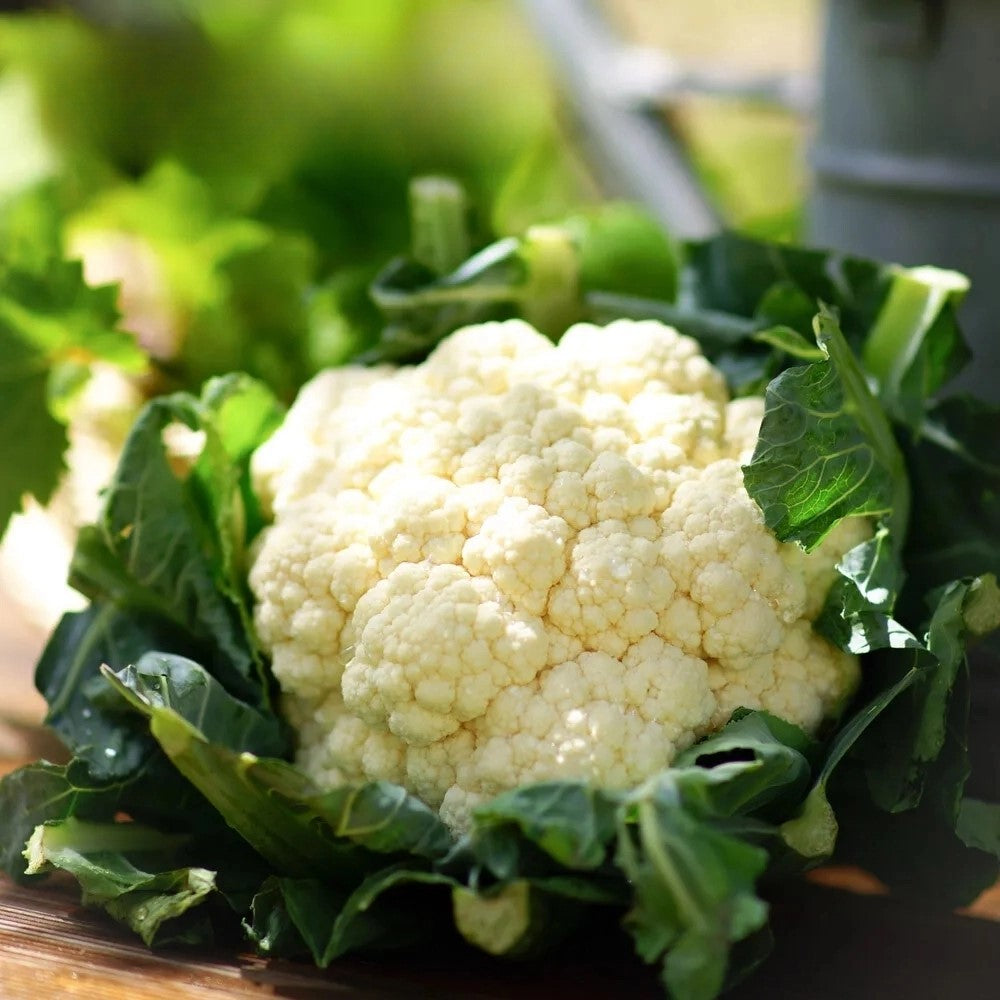Cauliflower Snowball X - 400 seeds Cauliflower Snowball