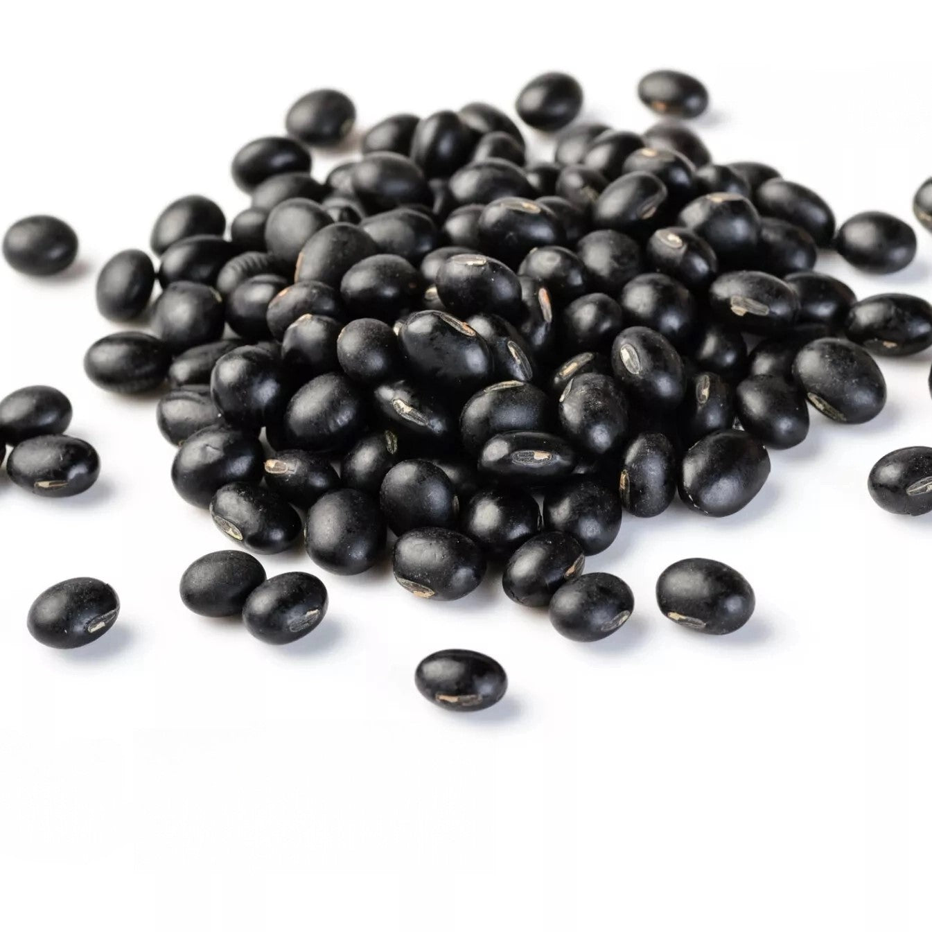 Italian Climbing Black Bean Super Marconi Grano Nero - 20 seeds (Phaseolus vulgaris)