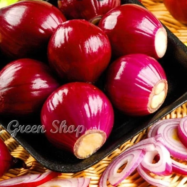 Red onion 'Scarlet' - 400 seeds (Allium cepa)