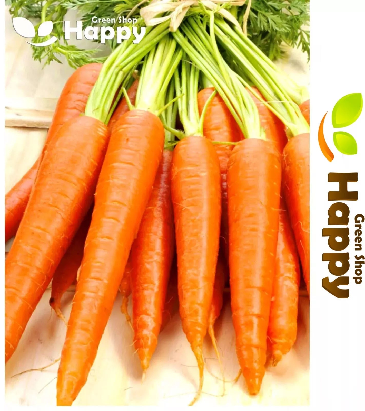 Carrot 'Amsterdam 3' - 1000 seeds (Daucus carota)