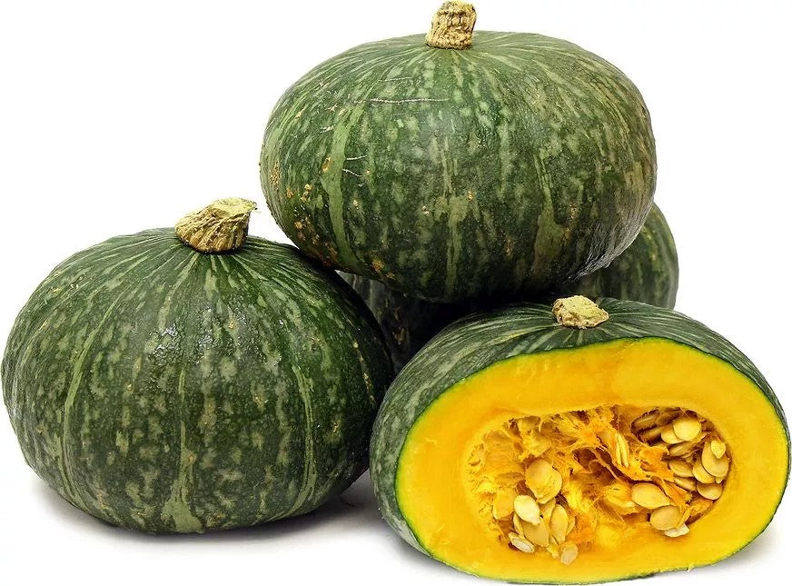 Squash 'Ambar' - 15 seeds (Cucurbita pepo)