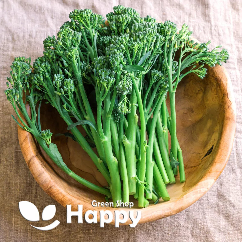 Broccoletto `Centoventino` - 800 seeds (Brassica rapa)