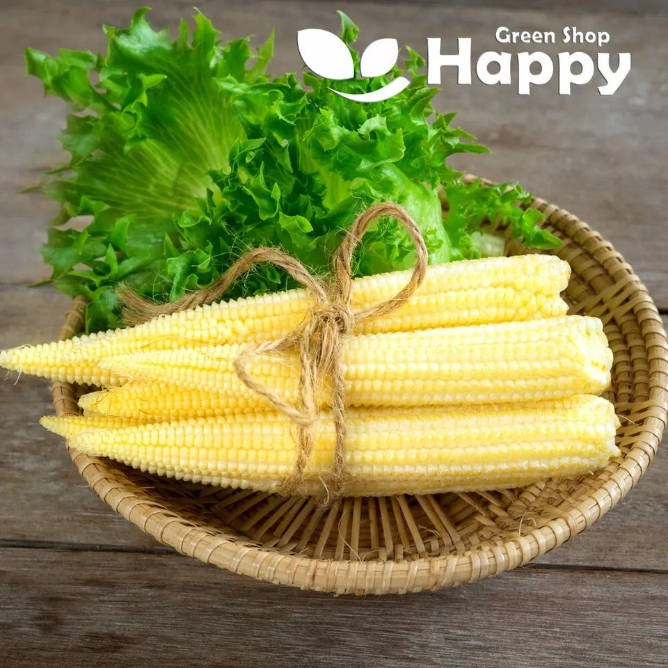 Baby Sweetcorn - Minigold - 20 seeds - Baby corn - Crunchy snack