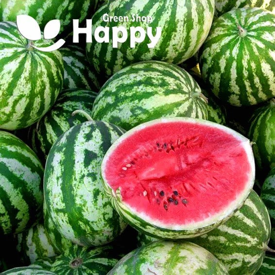 Watermelon 'Crimson sweet' - 30 seeds (Citrullus lanatus)