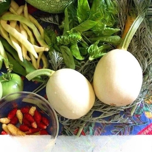 Gourd `Nest Egg` white - 15 seeds (Cucurbita pepo)