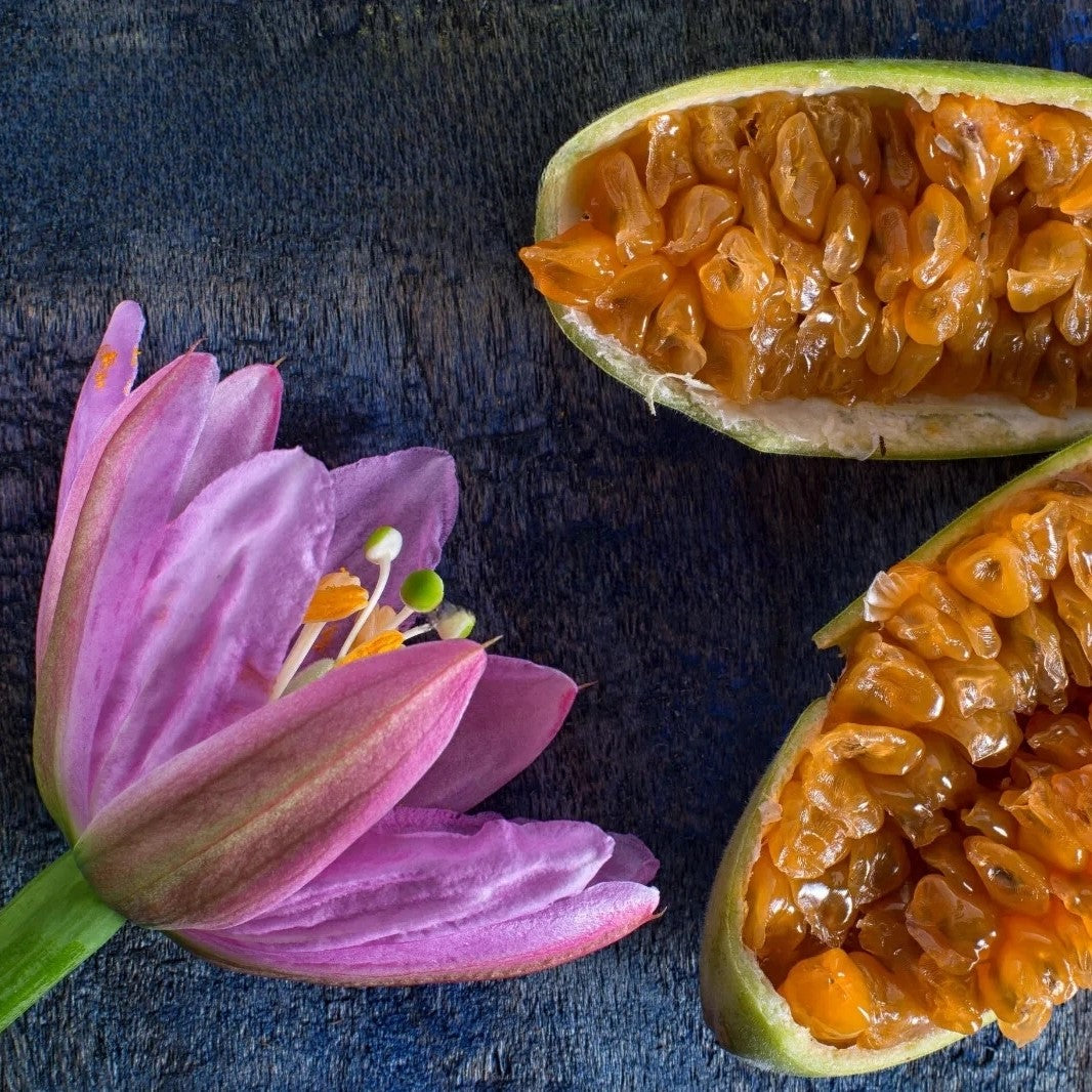 Banana Passionfruit - 10 seeds (Passiflora mollissima)