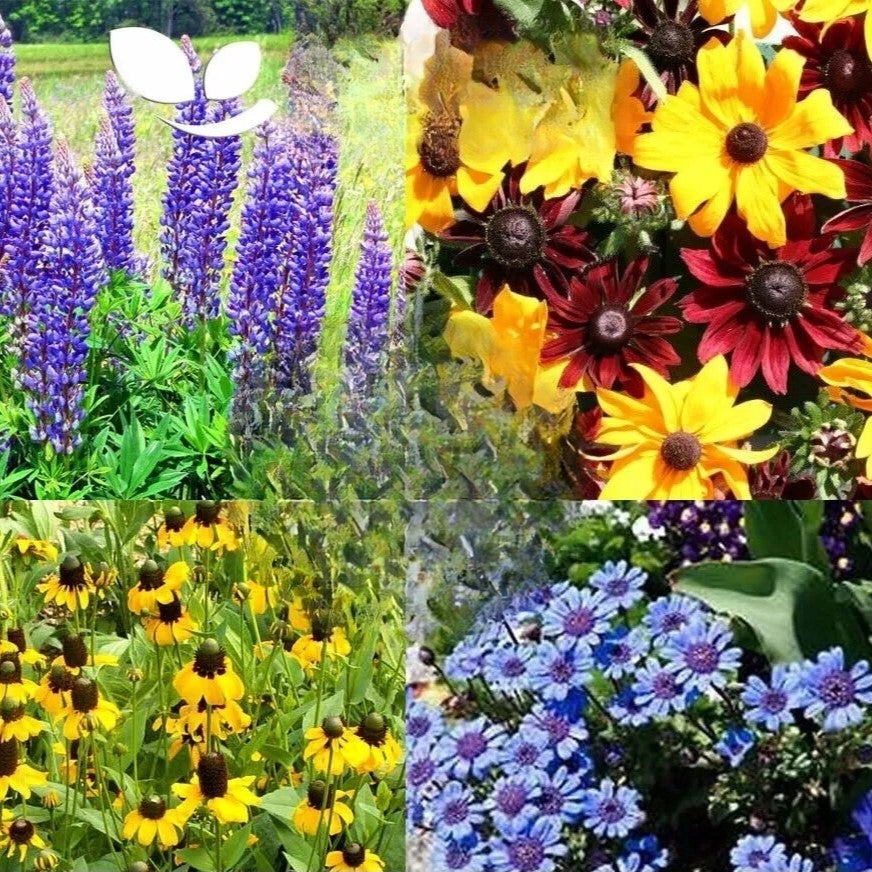Air purifying flower, mix - 2 grams