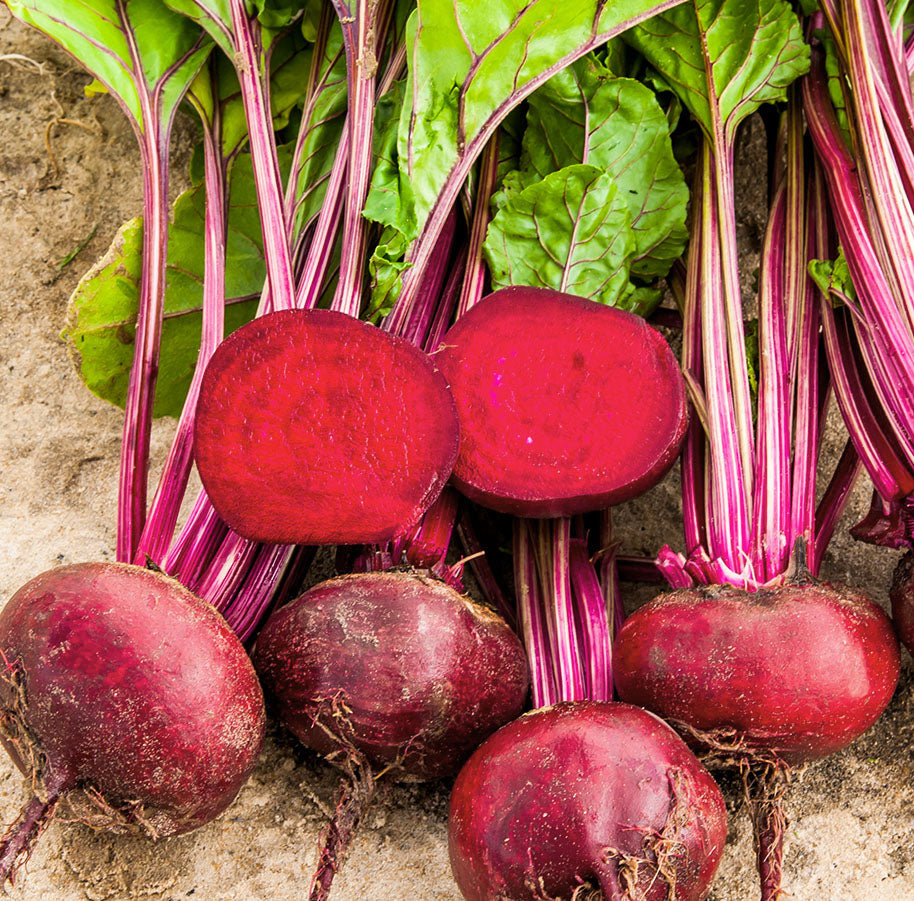 Beetroot 'Detroit 2 Crimson globe' - 650 seeds (Beta vulgaris)