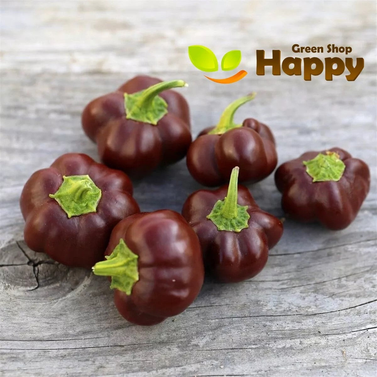 Sweet pepper 'Mini bell' chocolate - 70 seeds (Capsicum annuum)