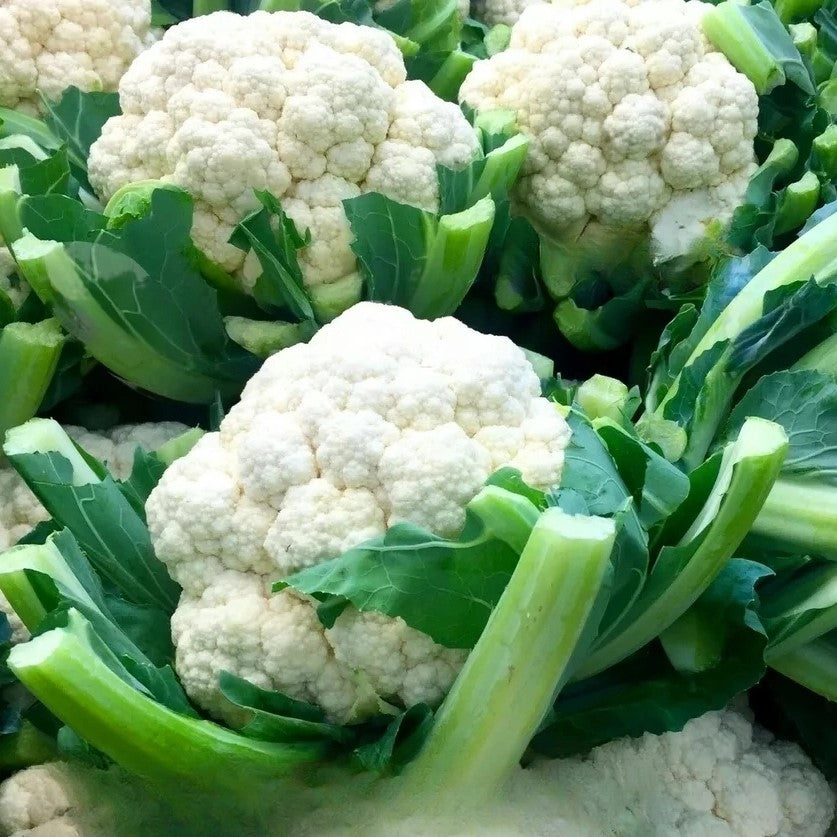 Cauliflower 'Beta' - 150 seeds (Brassica oleracea)