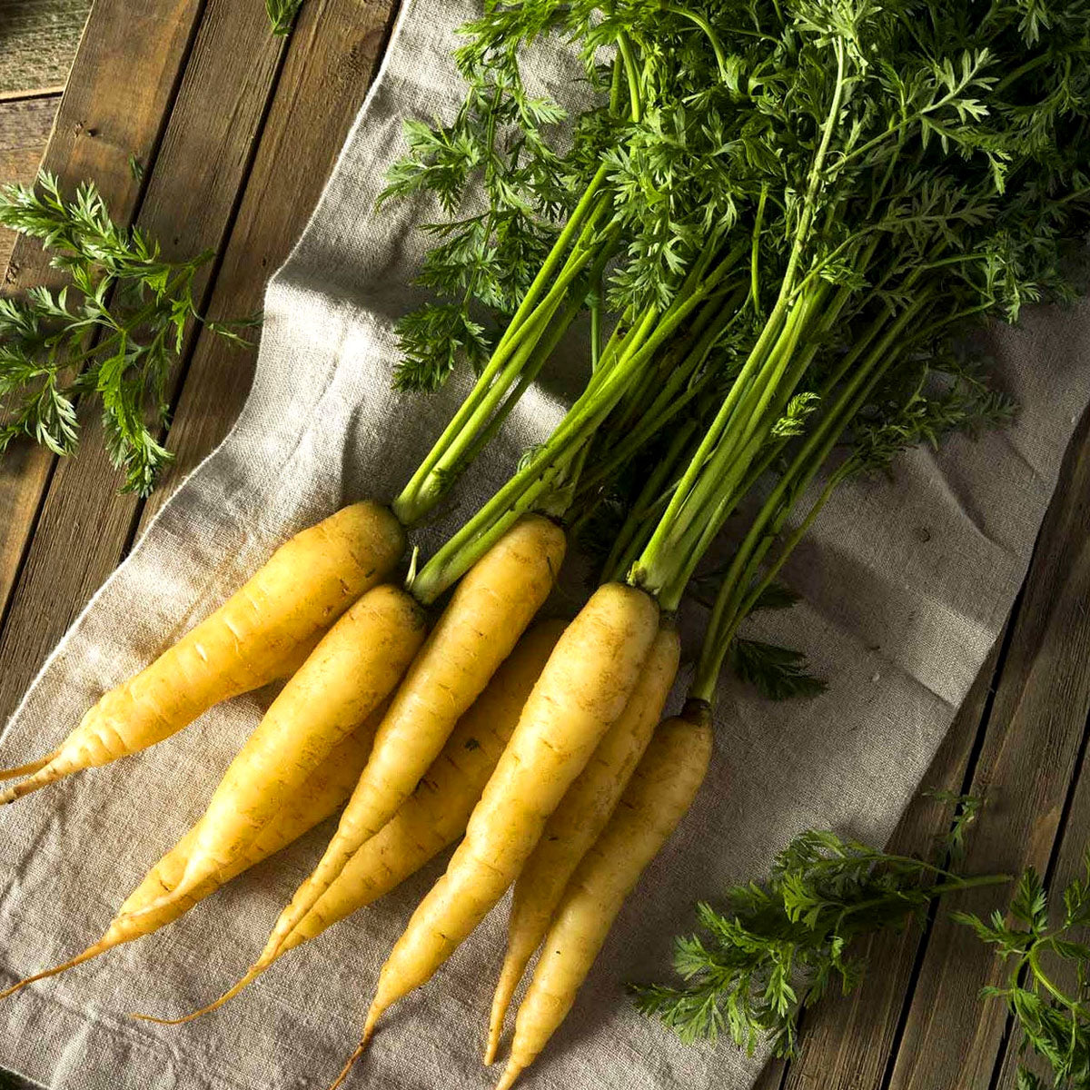 Carrot Solar Yellow - 300 Seeds (Daucus carota) Heirloom