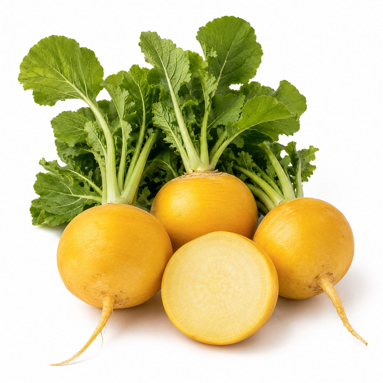 Turnip Seeds Golden Ball | Brassica rapa | Sweet Yellow Globe | 500 Seeds