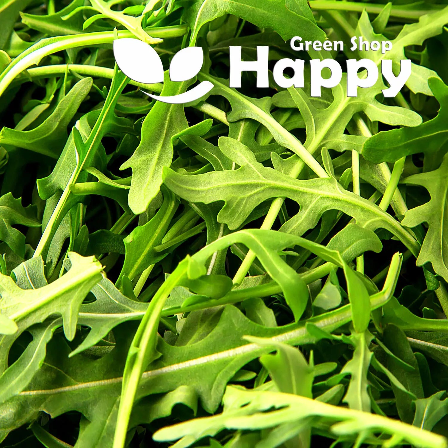 Arugula, Garden Rocket - 3000 seeds (Eruca sativa)