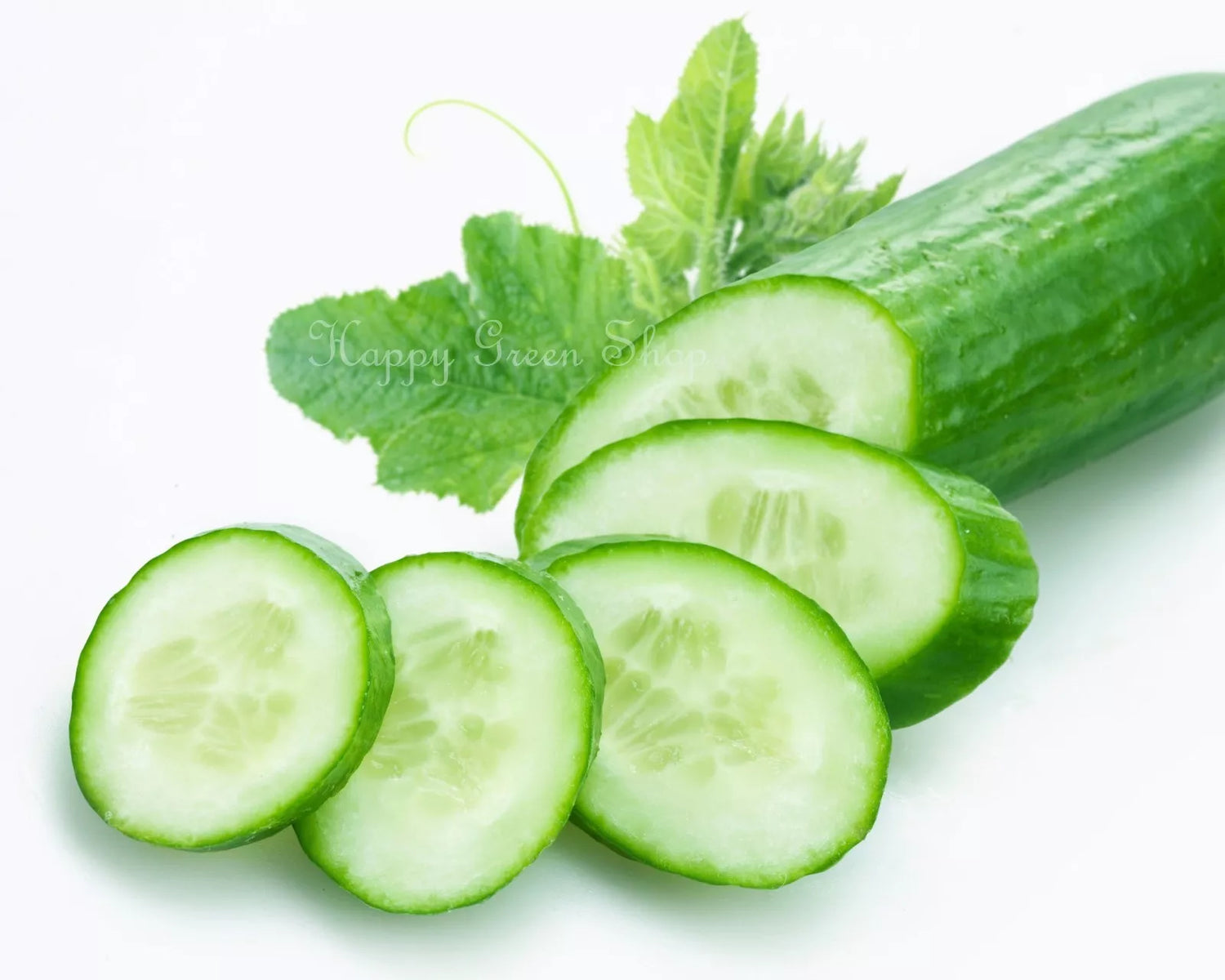 Cucumber 'King of salad' - 50 seeds (Cucumis sativus)