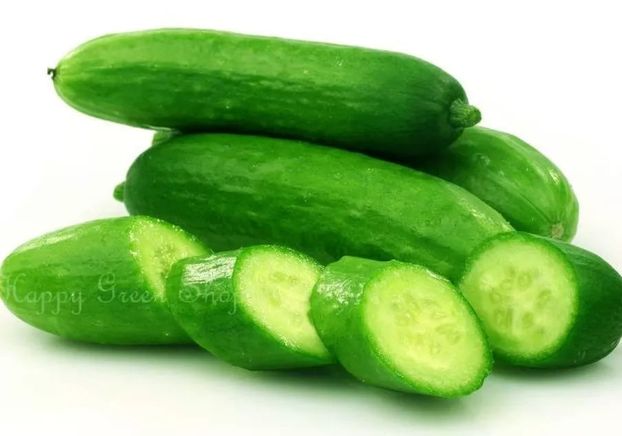 Cucumber 'King of salad' - 50 seeds (Cucumis sativus)