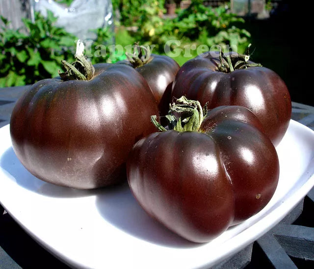 Tomato 'Black prince' - 30 seeds (Solanum lycopersicum)