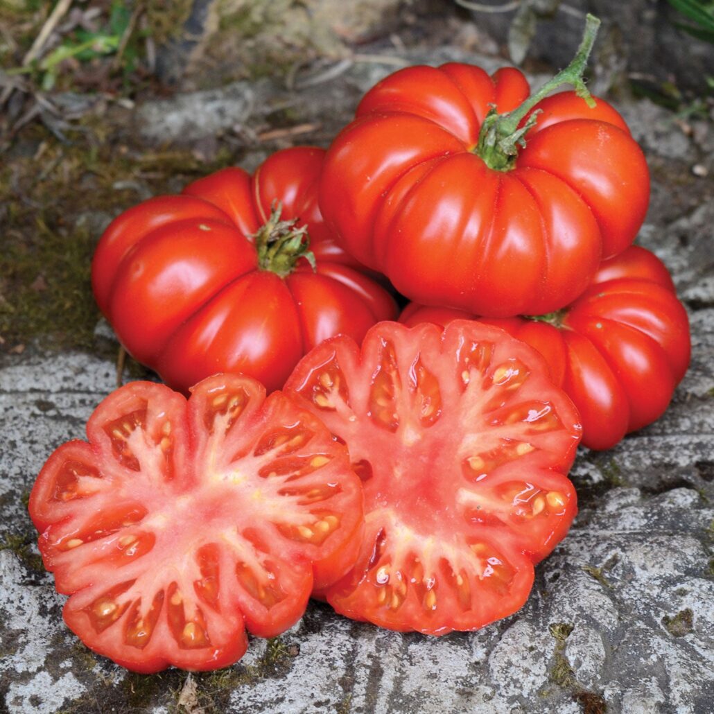 Tomato "Costoluto Fiorentino" - 60 seeds (Solanum lycopersicon)