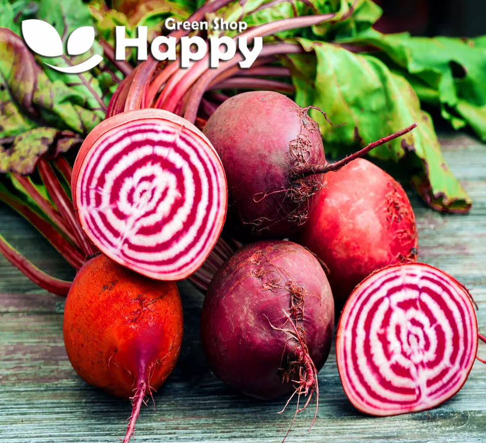 Beetroot 'Chioggia' - 650 seeds (Beta Vulgaris)